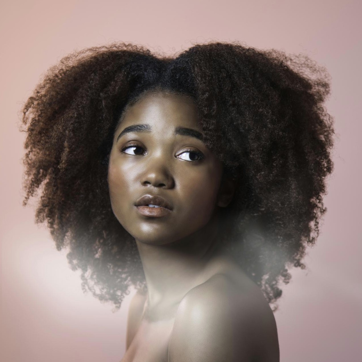 Líder de auditoría